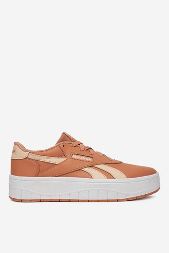 Športna obutev Reebok COURT ADVANCE SURGE 100234722 Rjava