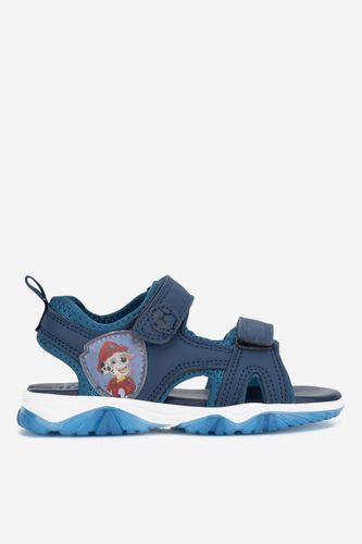 Sandály Paw Patrol CP66-SS24-190 Modrá