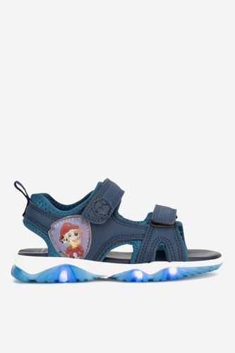 Sandály Paw Patrol CP66-SS24-190 Modrá