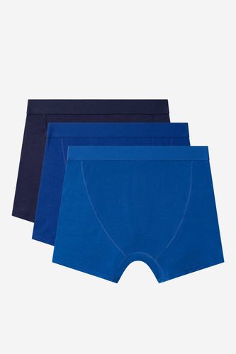 Donje rublje Reebok COATES - AW24 (3-PACK) Plava