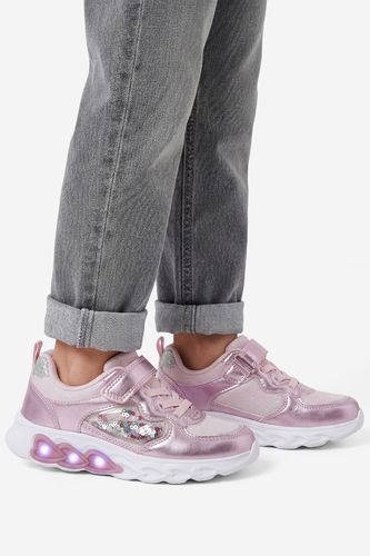 Patike DeeZee CEO-K2516 Roza