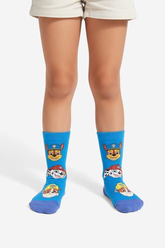 Čarape Paw Patrol CEO-ACCCS-AW25-333PAW Plava