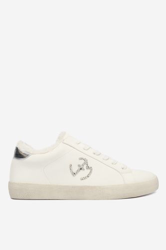Bela