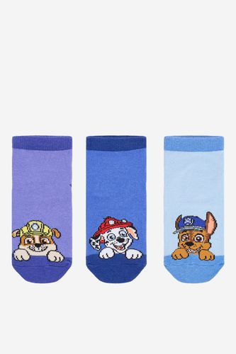 Čarape Paw Patrol CEO-ACCCS-AW25-330PAW(3-PACK) Plava