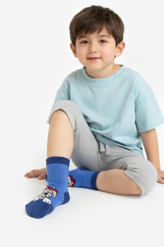 Čarape Paw Patrol CEO-ACCCS-AW25-330PAW(3-PACK) Plava
