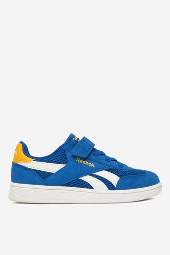 Cornflower modra