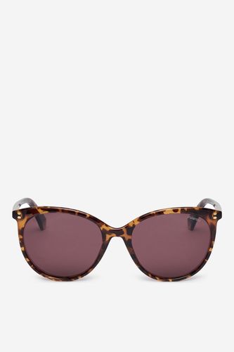 Unisex sončna očala POLAROID C PLD 6231/S Rjava