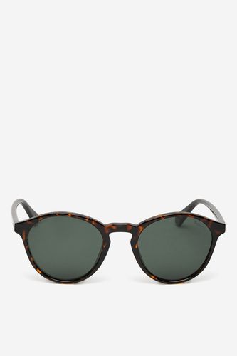 Unisex sončna očala POLAROID C PLD 4153/S Rjava