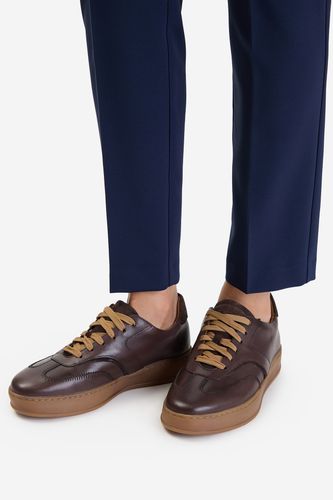 Patike Lasocki CEO-WI16-HARRY-07 Braon