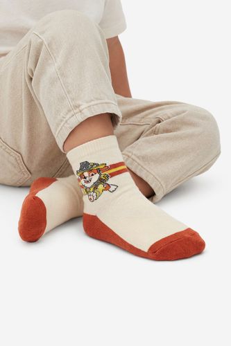 Čarape Paw Patrol CEO-ACCCS-AW26-306PAW(3-PACK) Miks