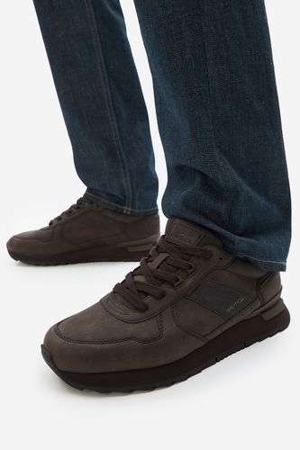 Superge NAUTICA CEO-BURTON-01 Čokoladno rjava